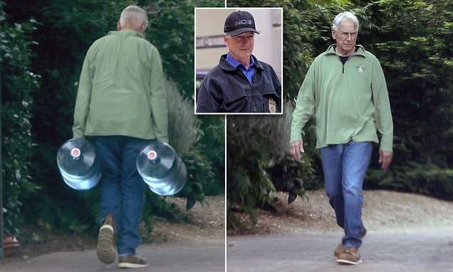 NCIS Icon Mark Harmon Looks Fit at 72, Lifting Weights in Rare Photos